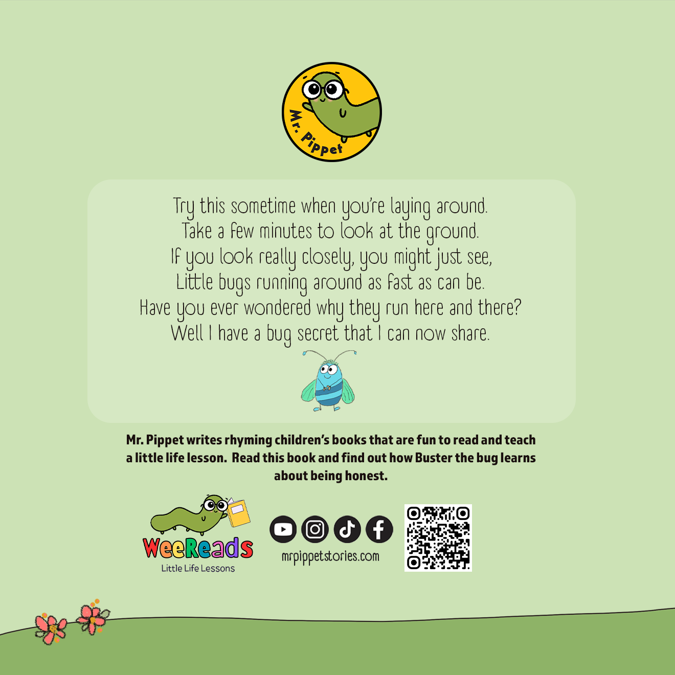 A Bug Story - By Mr Pippet